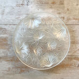 Art Deco dish underwear by Verlys