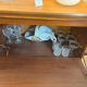 Scandinavian teak sideboard – 1960s
