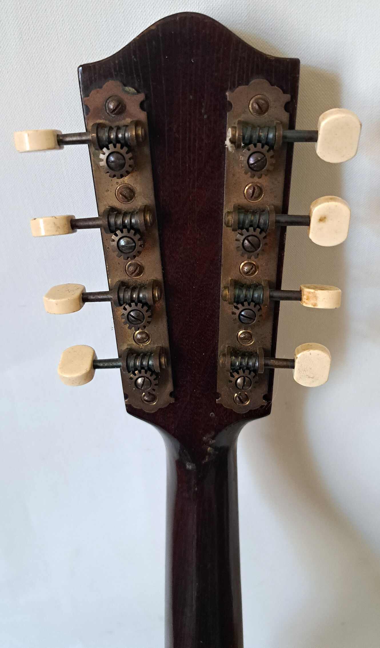 Levin high-end antique mandolin with flat bottom