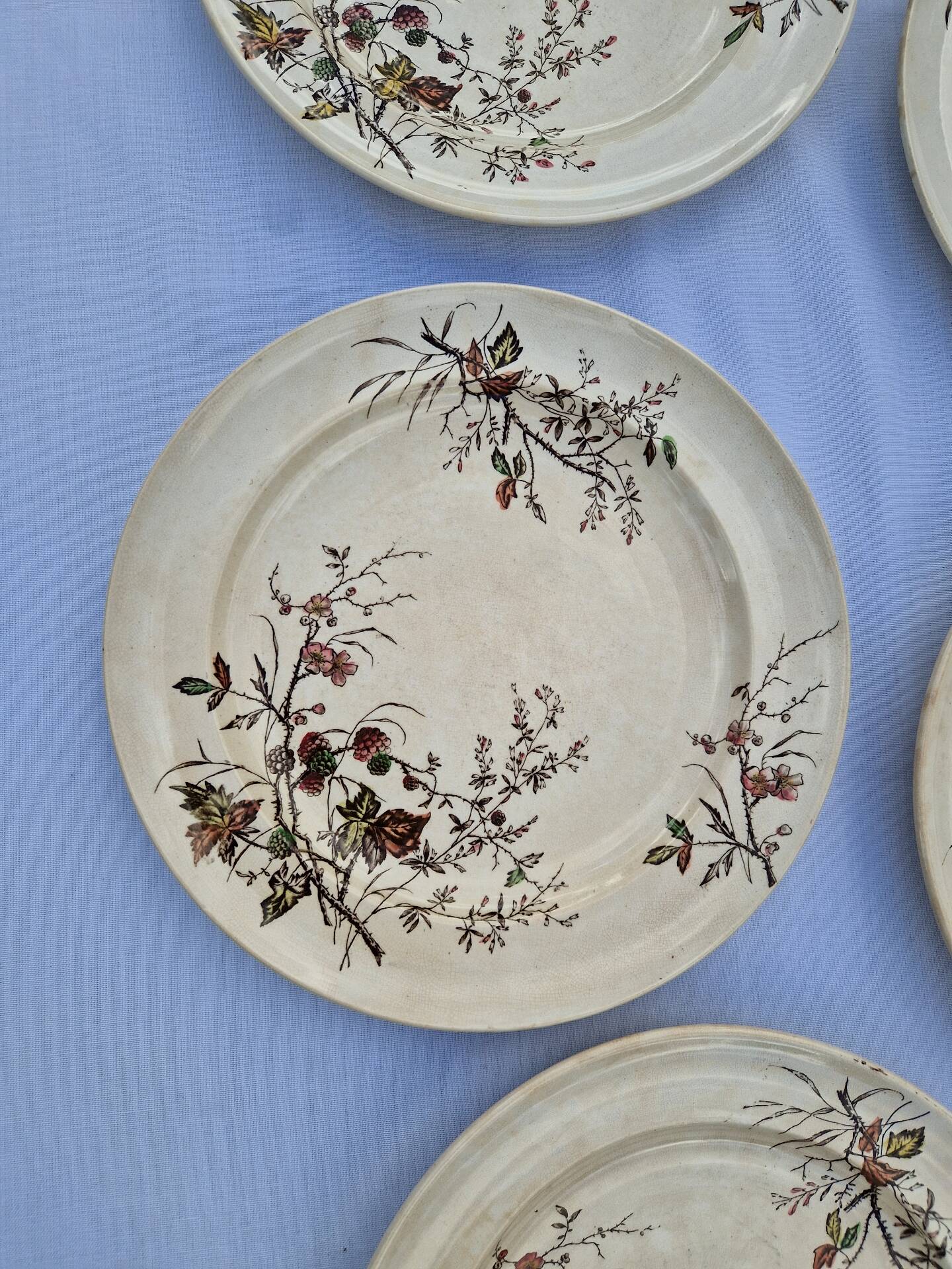 Set of 12 Terre De Fer Plates Manufacture Moore & Co Model Como