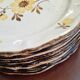 Set de 8 assiettes