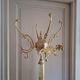 Golden parrot coat rack