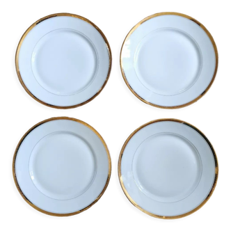 Limoges porcelain flat plates