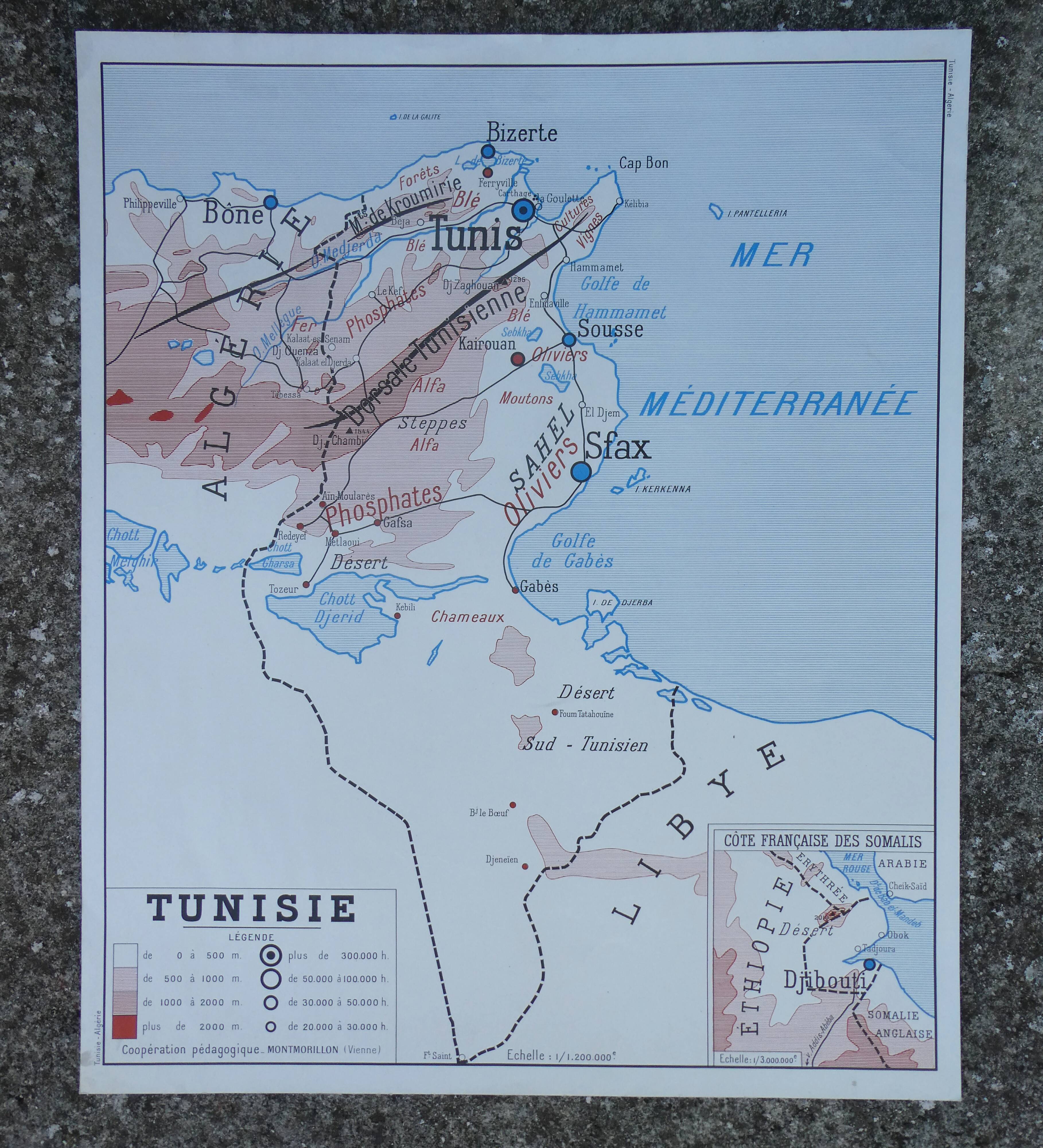 Old poster-school map Rossignol year 50 Tunisia, Algeria