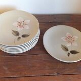 8 dessert plates