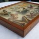 Showcase frame 10 world butterflies naturalized vintage 1970's