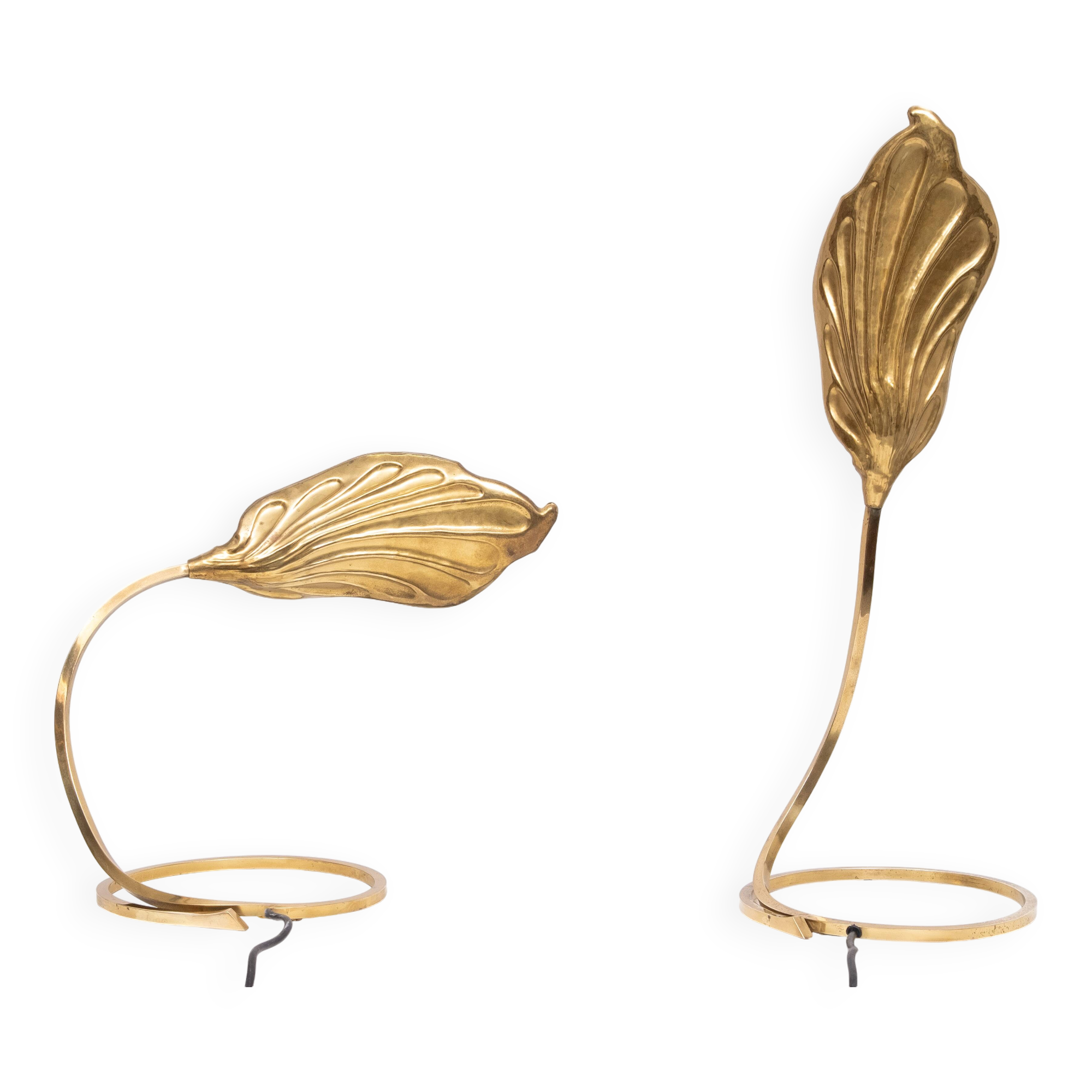 Pair Brass leaf table lamps design by Carlo Giorgi & Tommaso Barbi 1970s