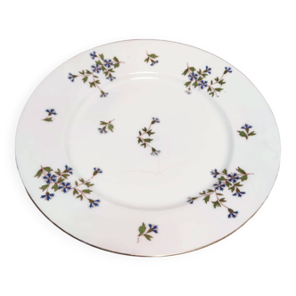 Lot d'assiettes limoges -motif floral - bleuet-  2 creuses, 2 plates, 2 à dessert