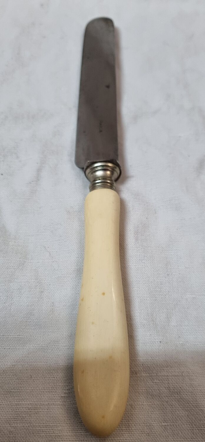 6 meat knives, ivory handle, late nineteenth