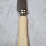 6 meat knives, ivory handle, late nineteenth