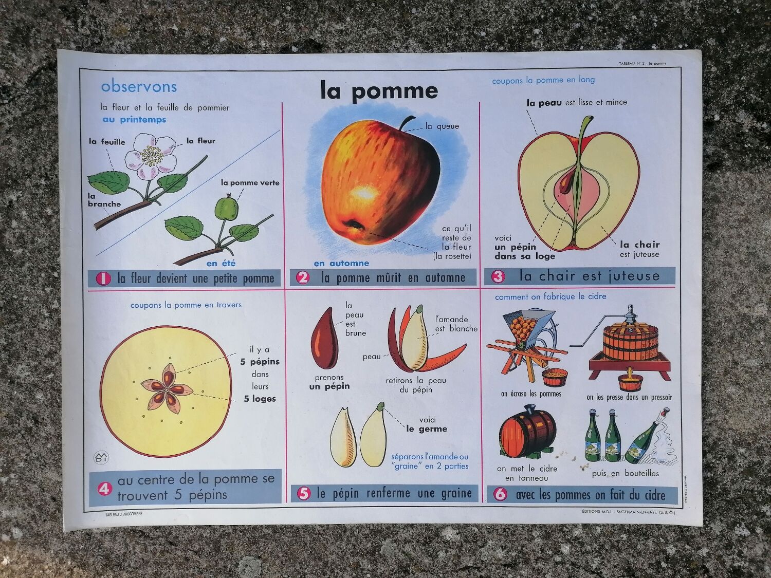 Old MDI poster "The leaves-The apple".