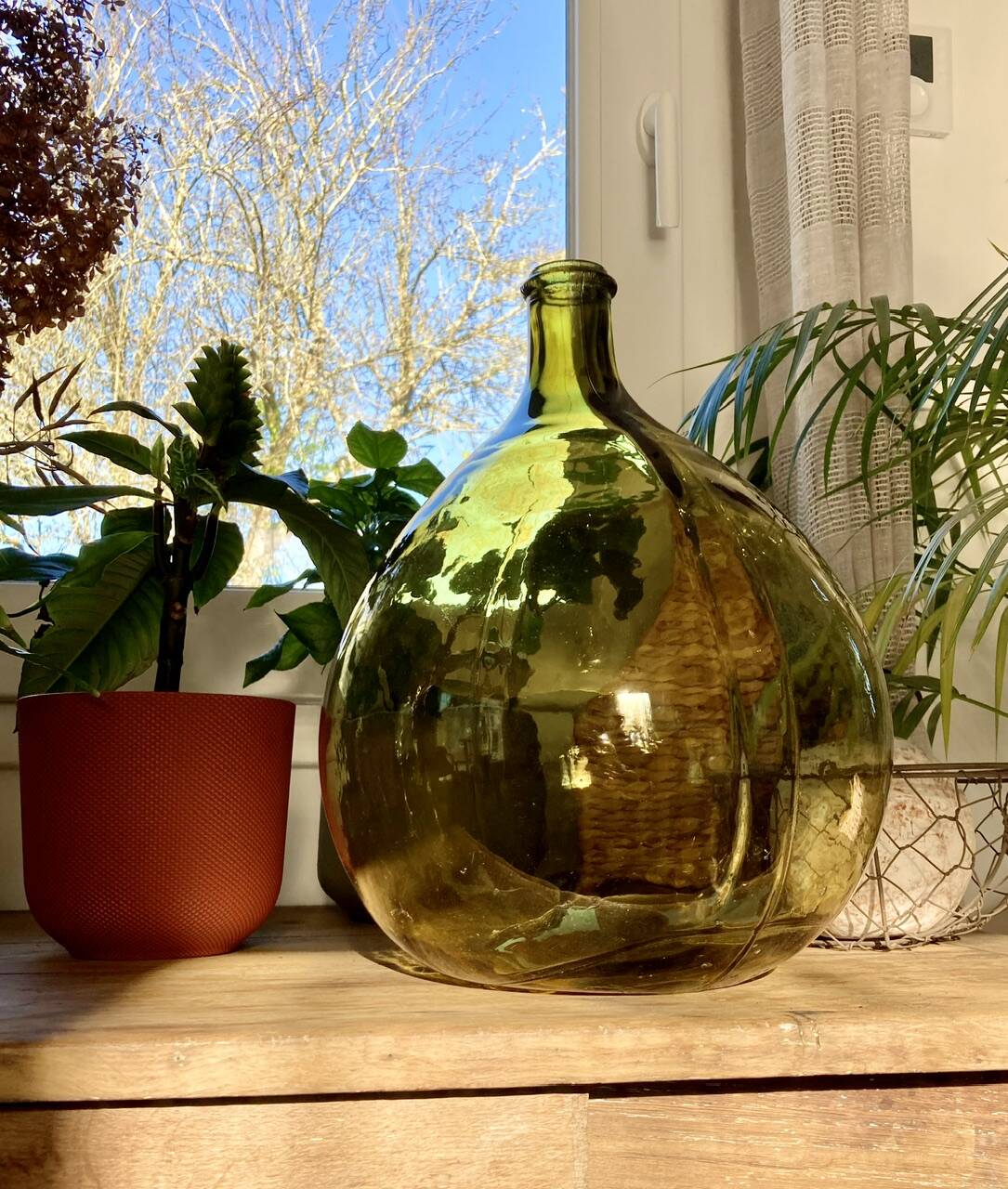 10L demijohn in a pretty olive green
