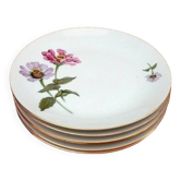 6 assiettes plates  Porcelaine fine de Bohème  Décor floral sur fond blanc