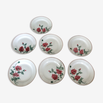 7 assiettes plates