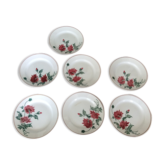 7 assiettes plates