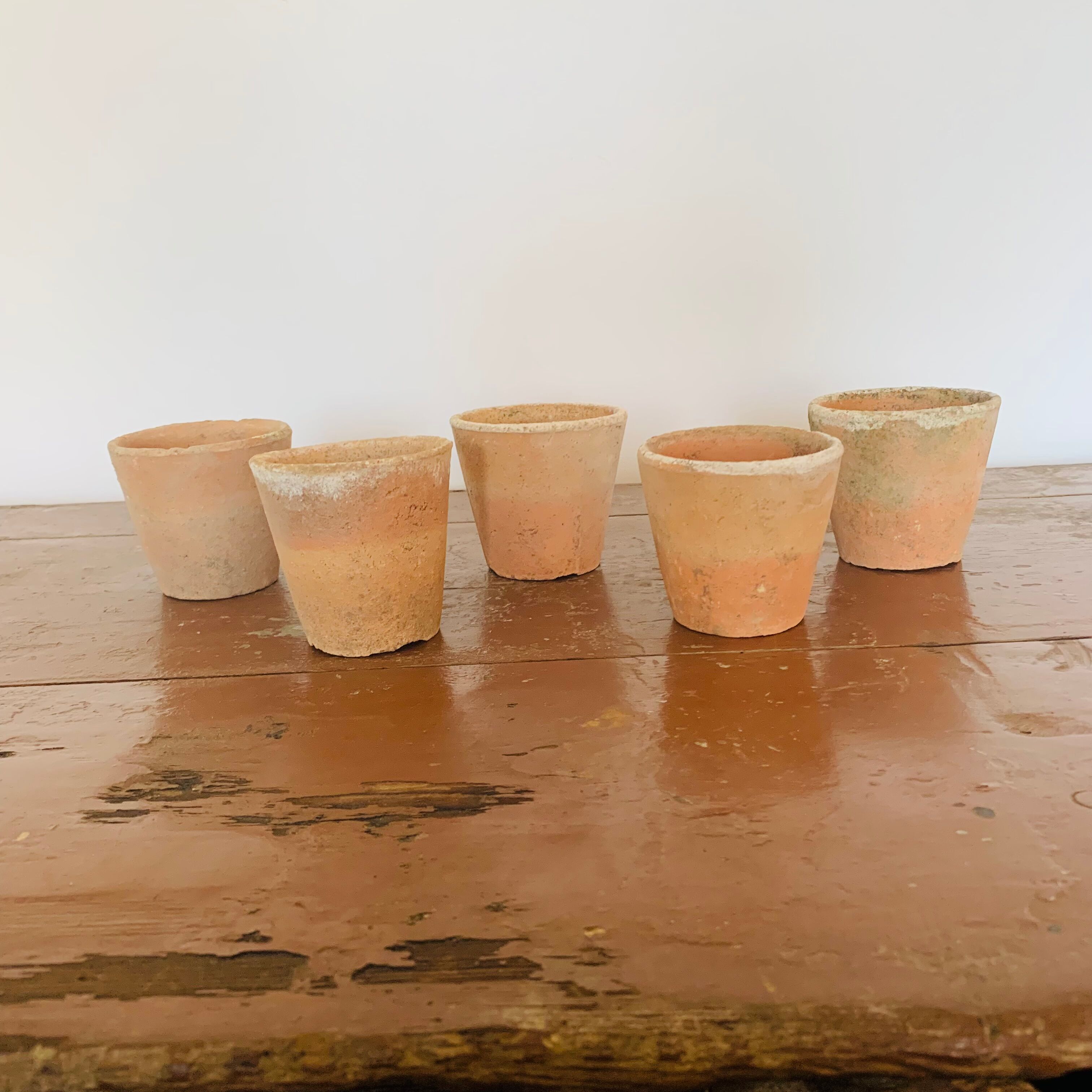 Lot of 5 terracotta pots circa 1930 graineterie