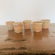 Lot de 5 pots en terre cuite circa 1930 graineterie