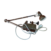 Brown lumina lamp