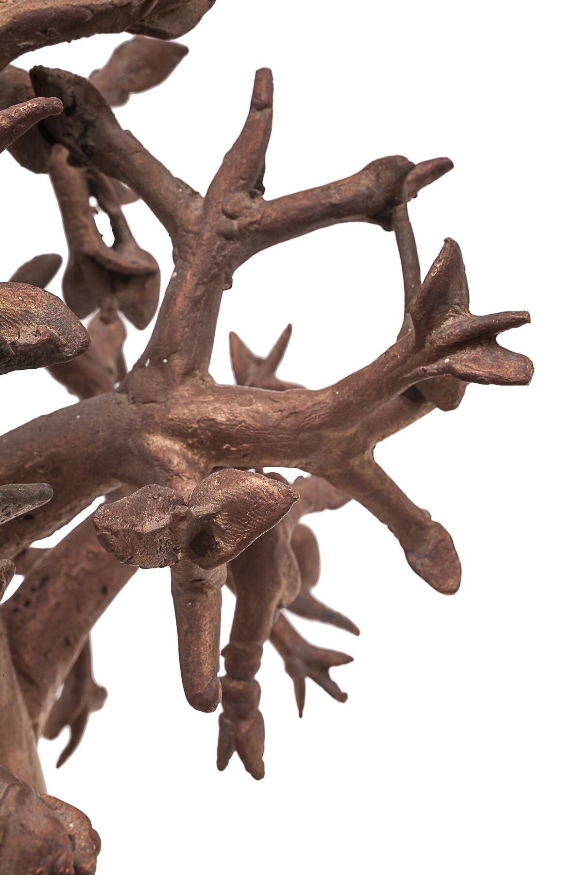 Bronze baobab