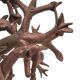 Bronze baobab