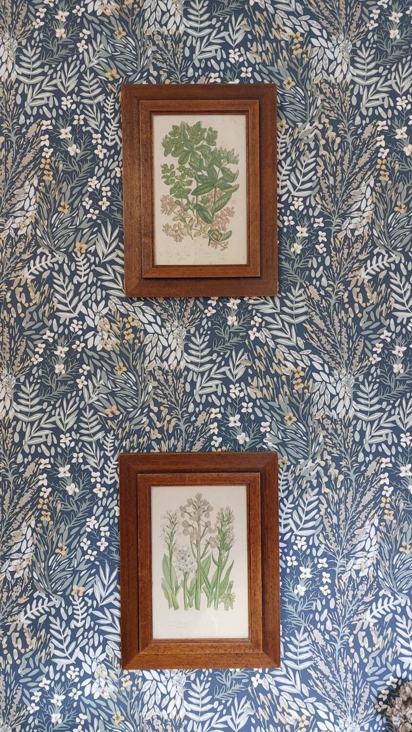 Duo botanical frames by hofleverancier