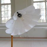 Organic Art Deco floor lamp in stained birch, Sweden, 1930s.