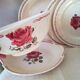 5 iron earth dishes
