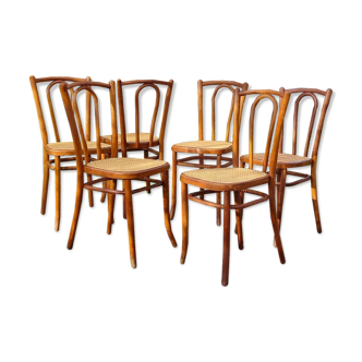 6 Baumann chairs n°42 1/2 years 20