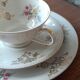 Antique porcelain trio Bavaria – cup, saucer, plate – flowers & do