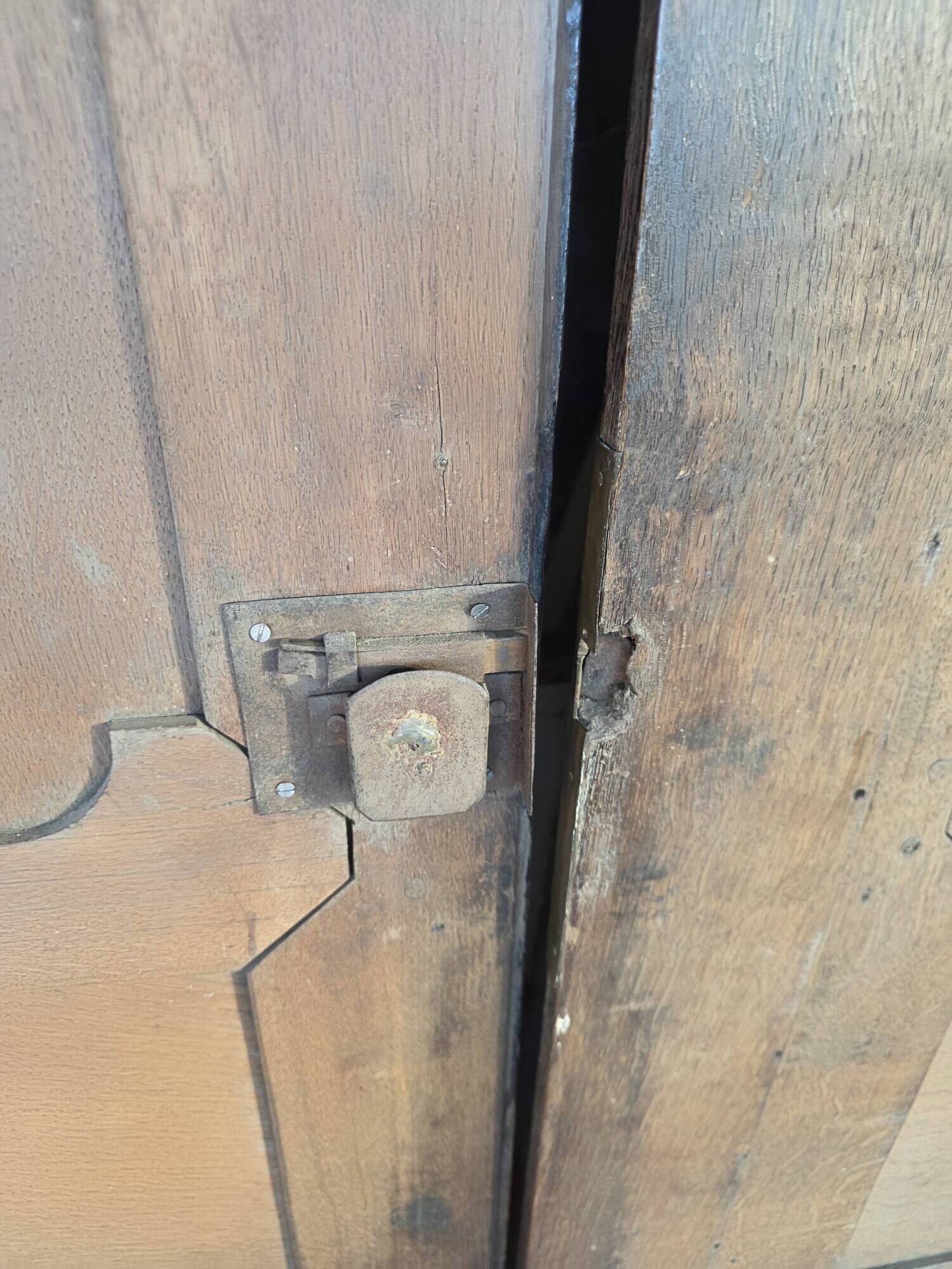 Pair of 19th-century oak cupboard doors