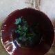 Seven plates of potter with multicolored enamels