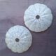Lot de 2 globes en verre moucheté art déco