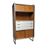 Vintage EFA bookcase and shelves by Georges Frydman