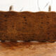 Marche pied en bois brut