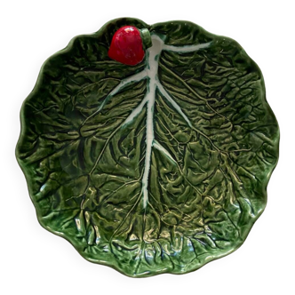 Flat shaped cabbage leaf