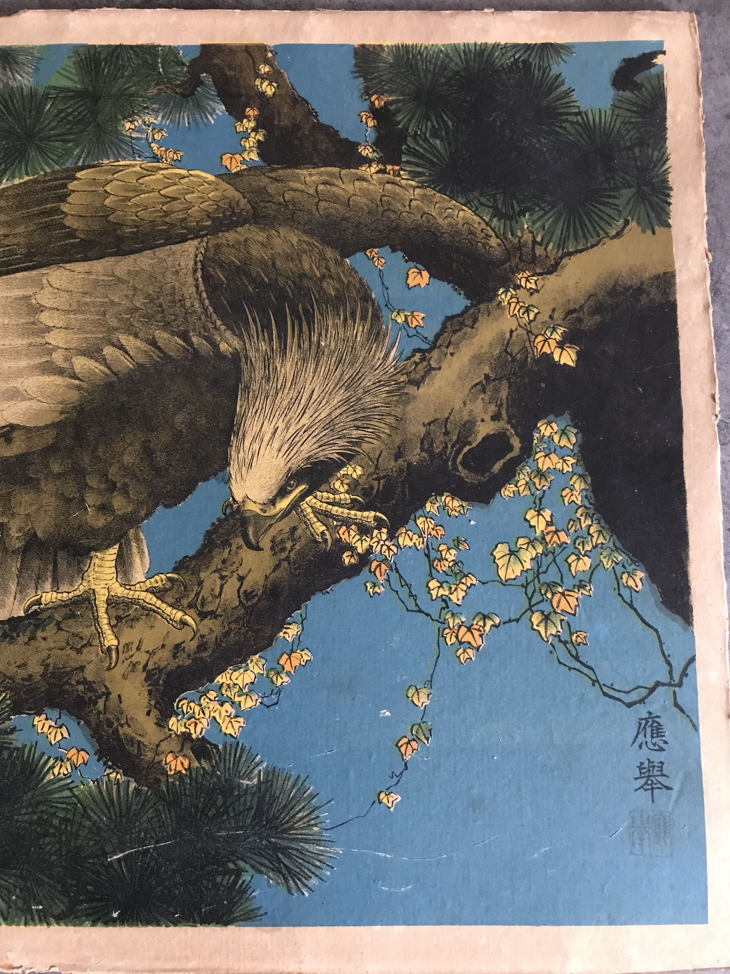 Old estampe of asia with polychrome decoration of eagle on a branch xixth