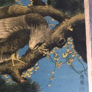 Ancienne estampe d’asie à décor polychrome d’aigle sur une branche xixème