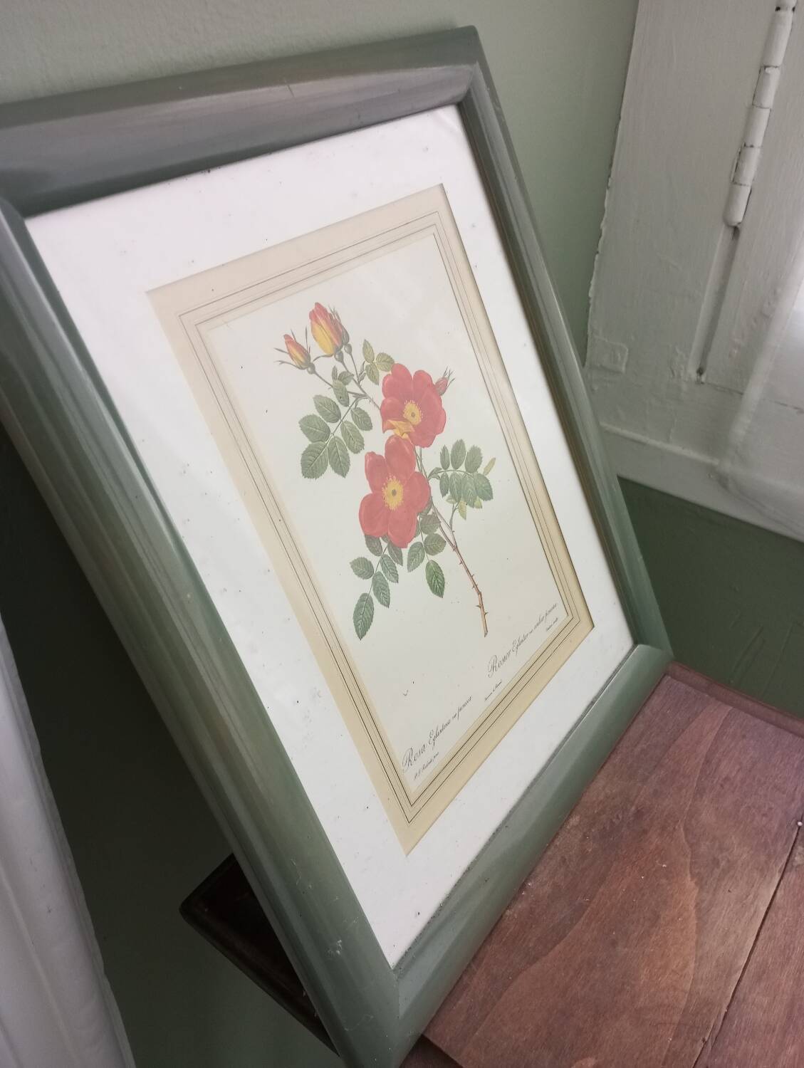 Small pink botanical board