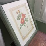Small pink botanical board