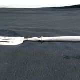 Service cover has mignardises art deco solid silver stuffed minerve