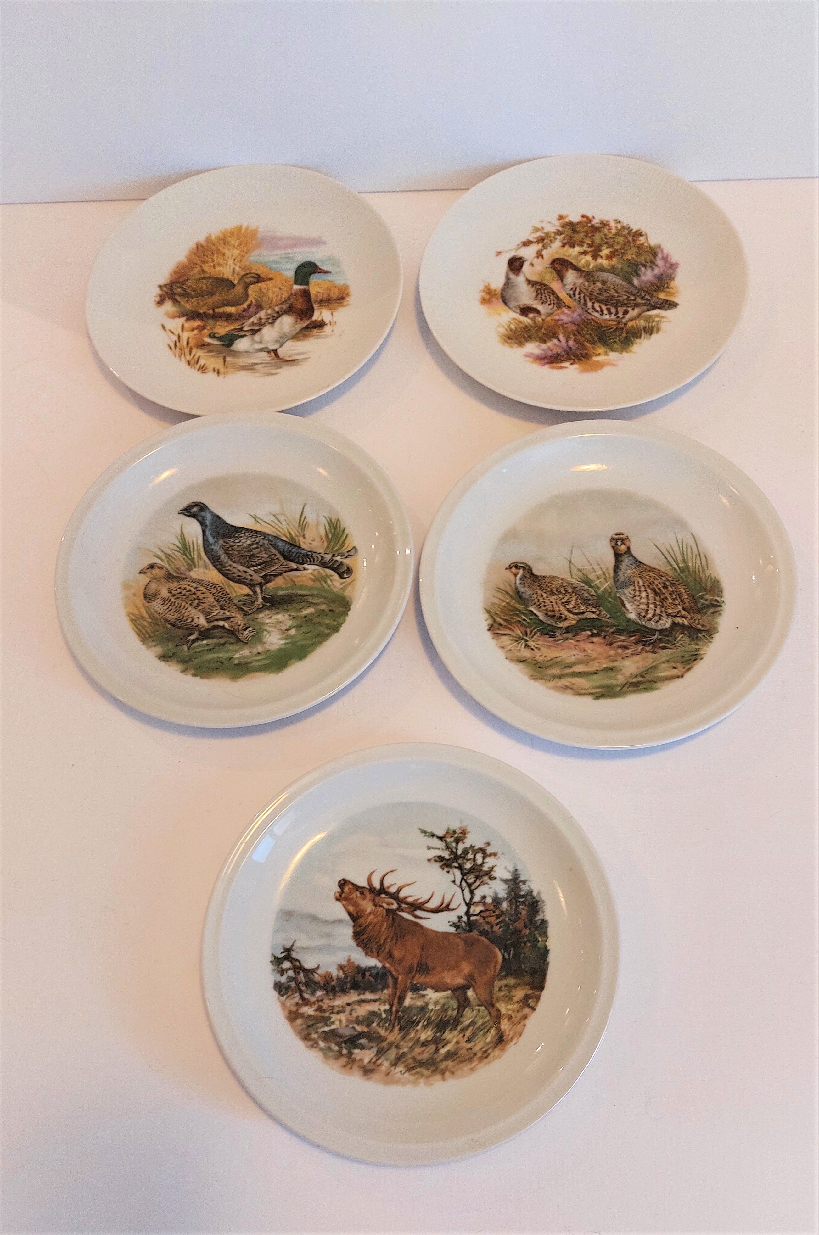 set of 5 plates Bavaria