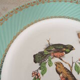 6 assiettes plates oiseaux