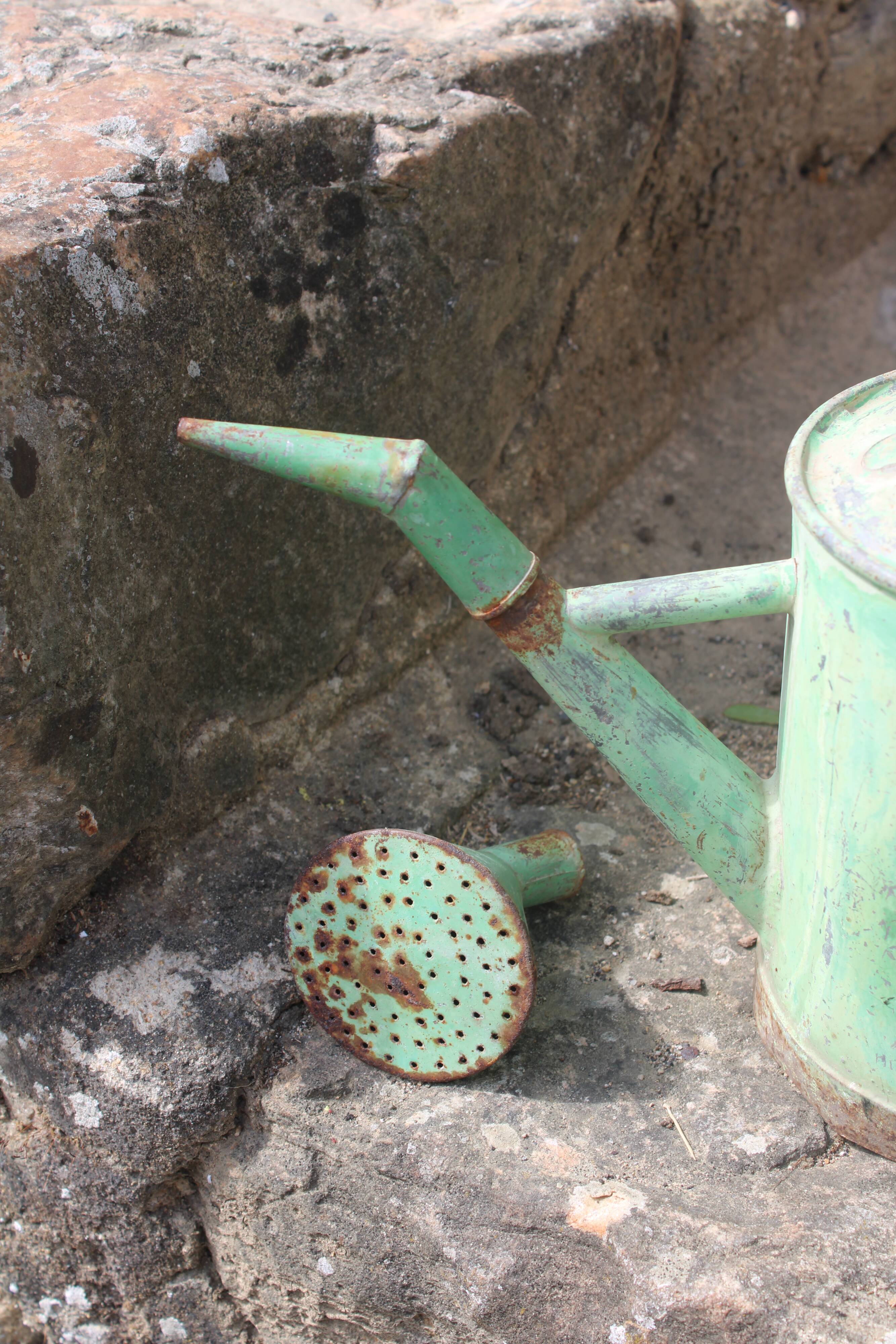 Zinc green watering can