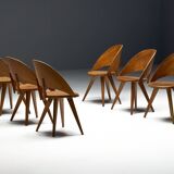 Chaises de salle à manger en contreplaqué, Italie, années 1950