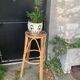 Vintage rattan bar stool 1960/70