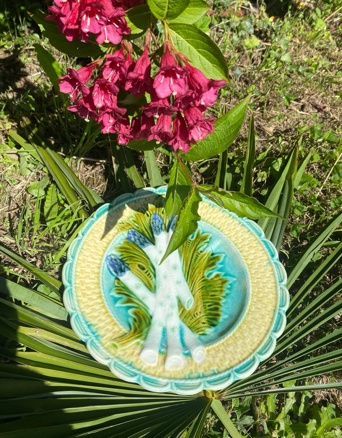 Assiette à asperges, artichaut en majolique