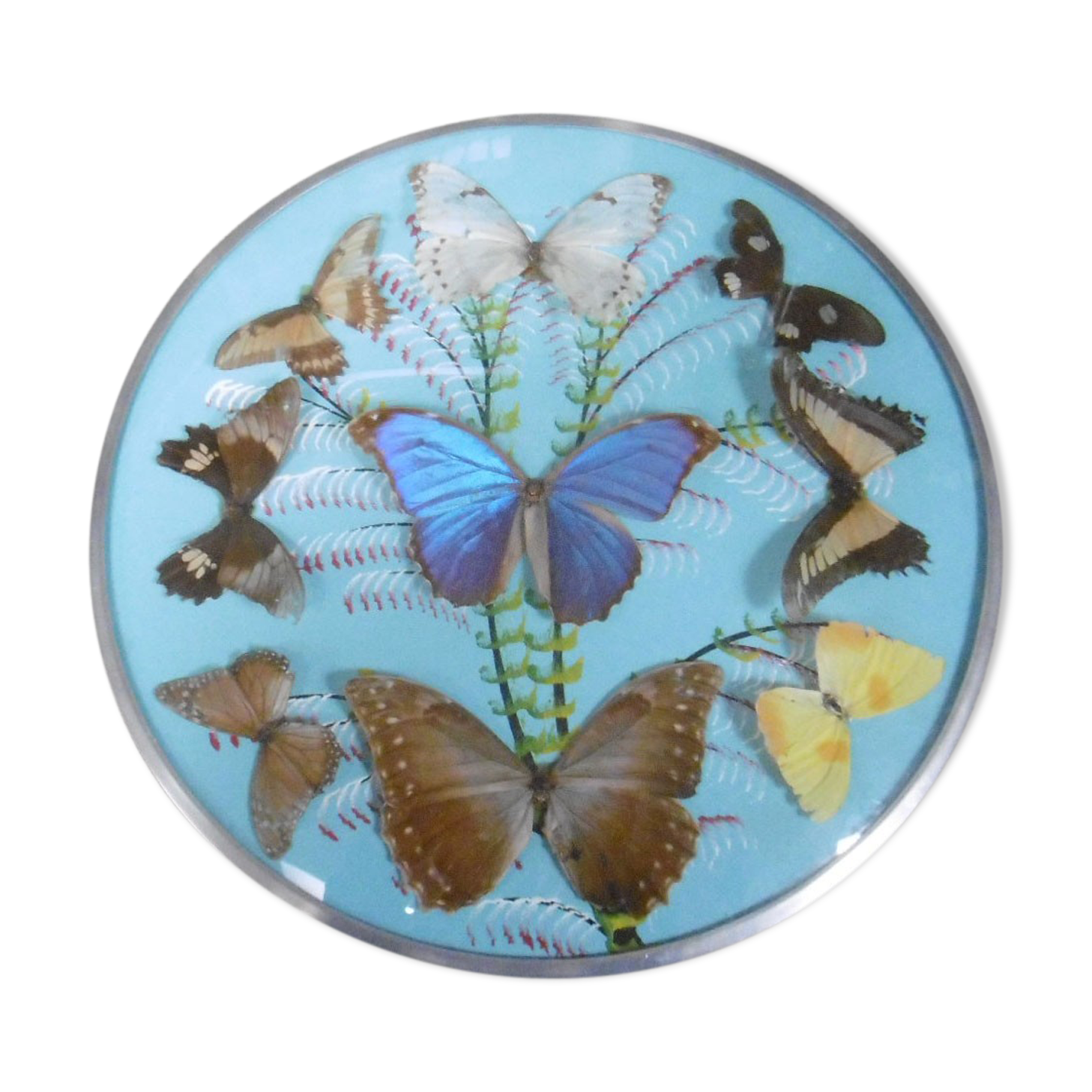 Vintage frame butterflies and silk threads - artefama - annees 50