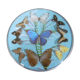 Vintage frame butterflies and silk threads - artefama - annees 50