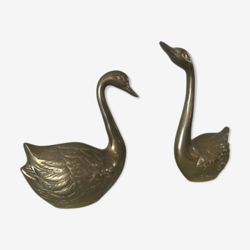 Couple of brass swans