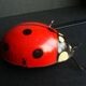 Mechanical ladybird toy